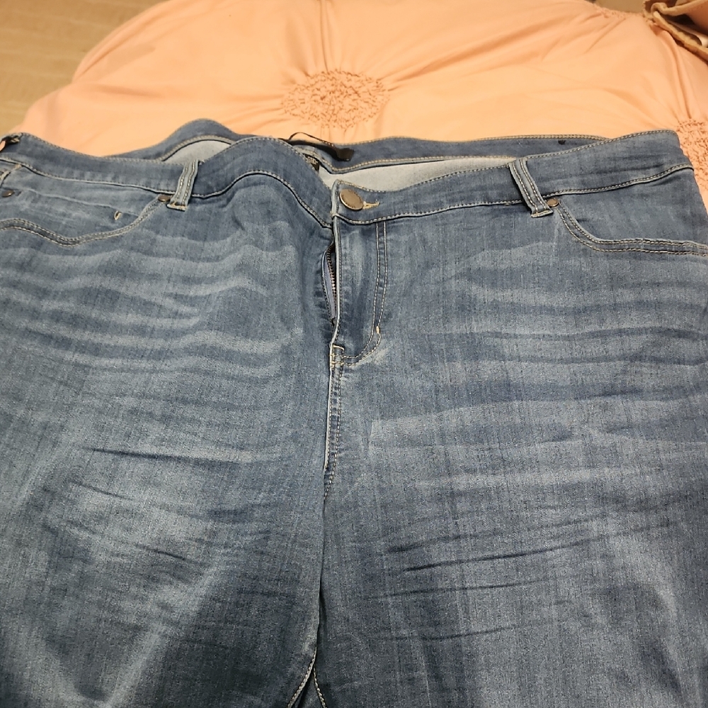 Liverpool Women's Straight Leg Jeans in Blue